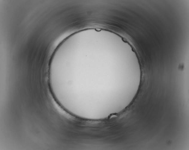 X0000113751143200910211141