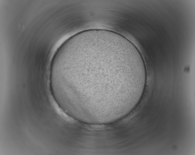 X0000113751144200910211141