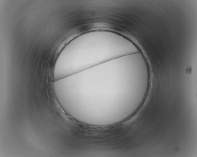 X0000113751145200910211141