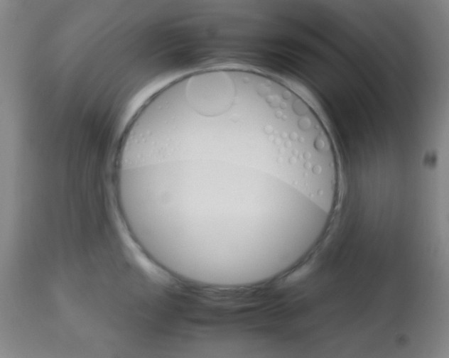 X0000113751149200910211141