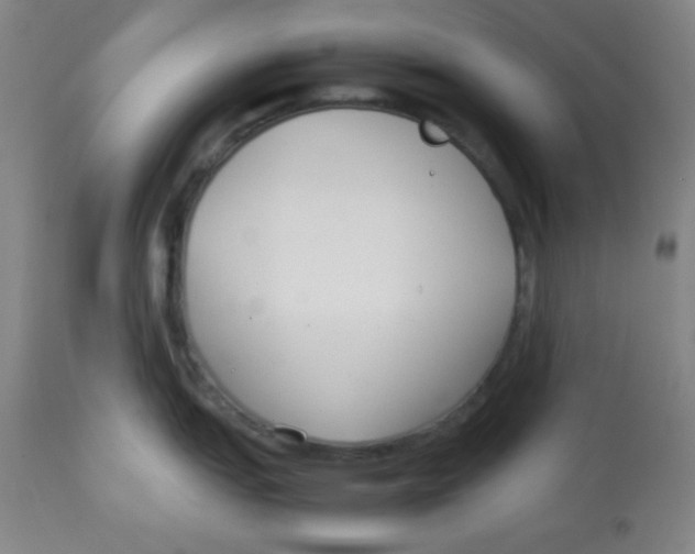 X0000113751151200910211141