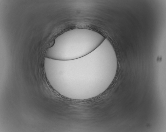 X0000113751153200910211140