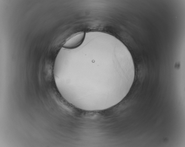 X0000113751154200910211140