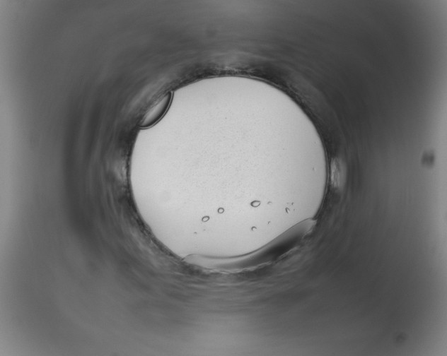 X0000113751155200910211140