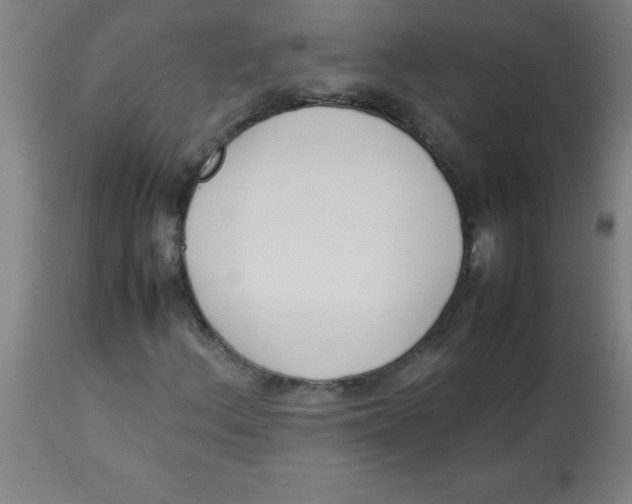 X0000113751156200910211140