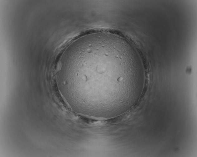 X0000113751157200910211140