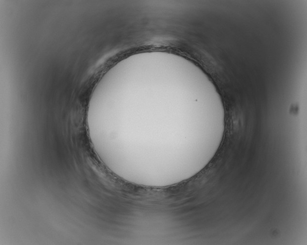 X0000113751158200910211140