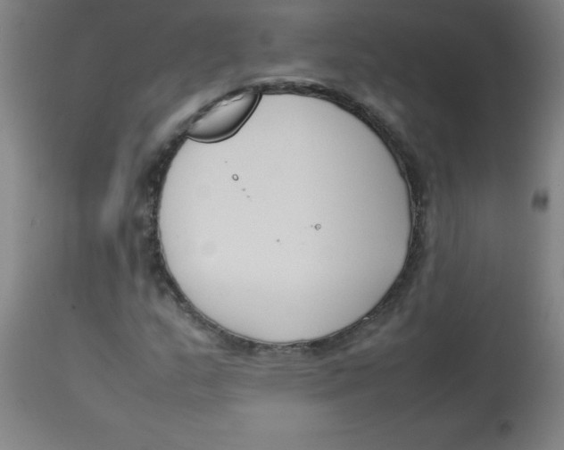 X0000113751159200910211140