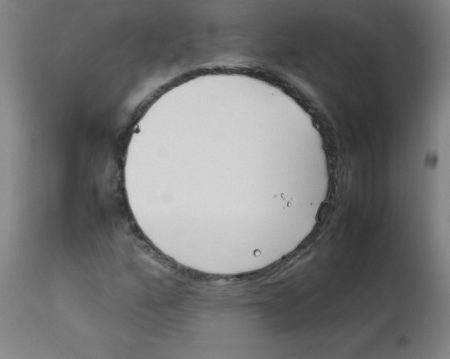 X0000113751160200910211140