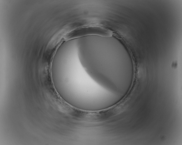 X0000113751161200910211140