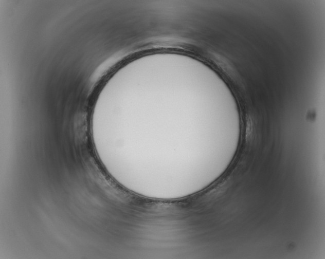 X0000113751164200910211140