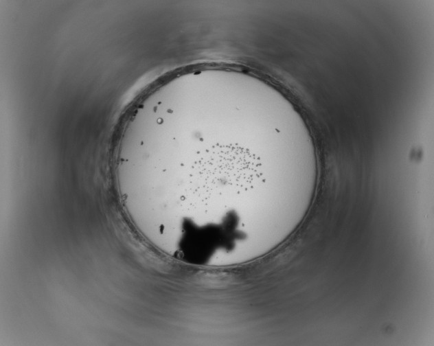 X0000113751168200910211140