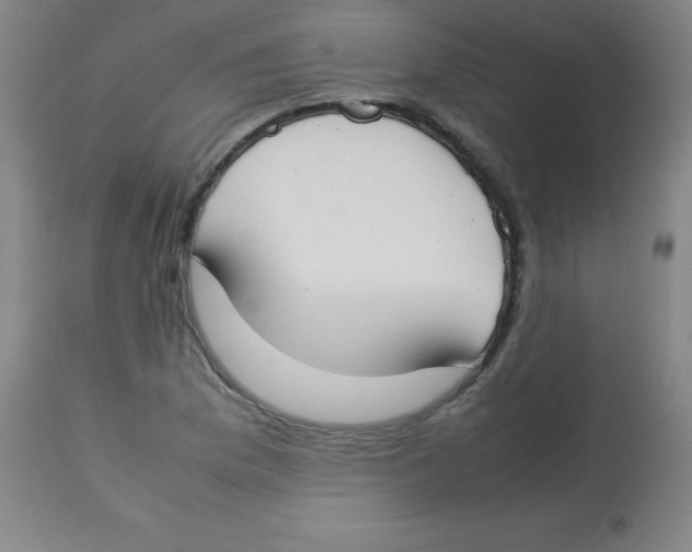 X0000113751169200910211140