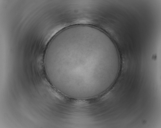 X0000113751170200910211140