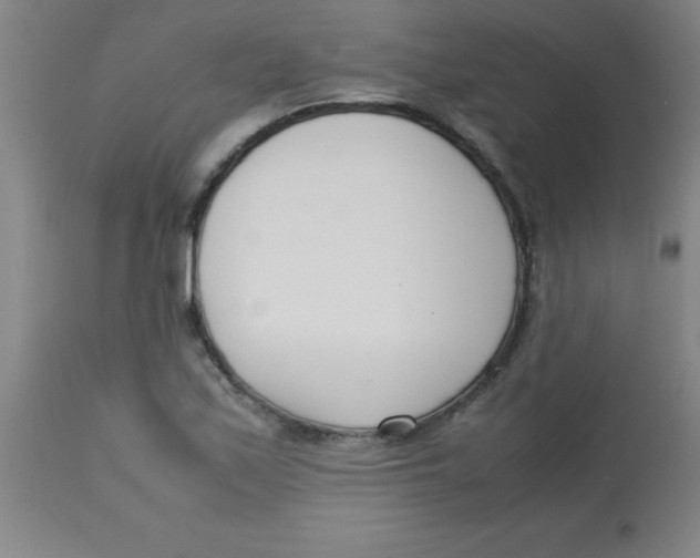 X0000113751171200910211140