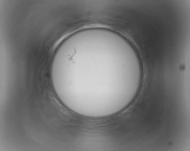 X0000113751173200910211140