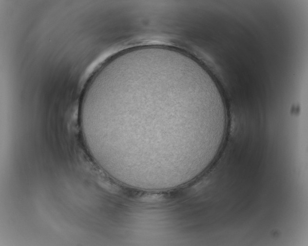 X0000113751174200910211140