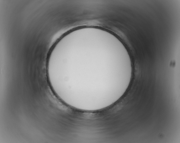 X0000113751176200910211140