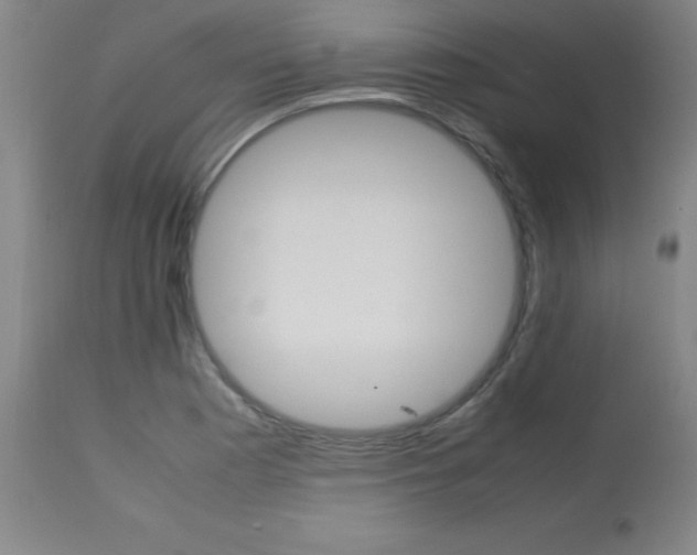 X0000113751177200910211140