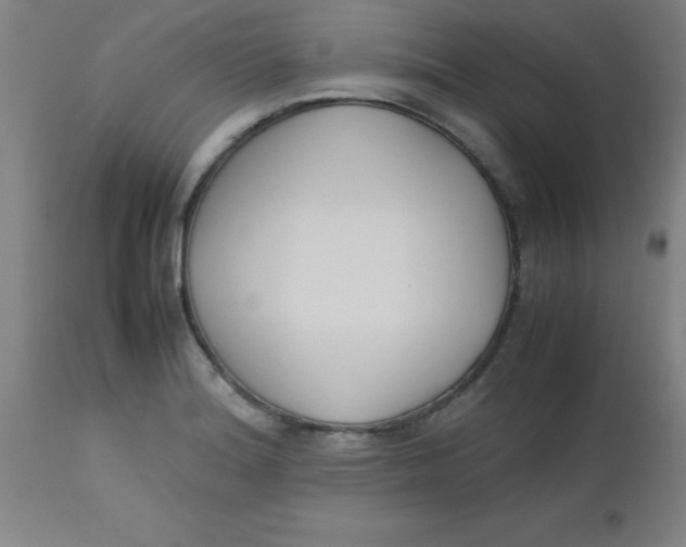 X0000113751180200910211140