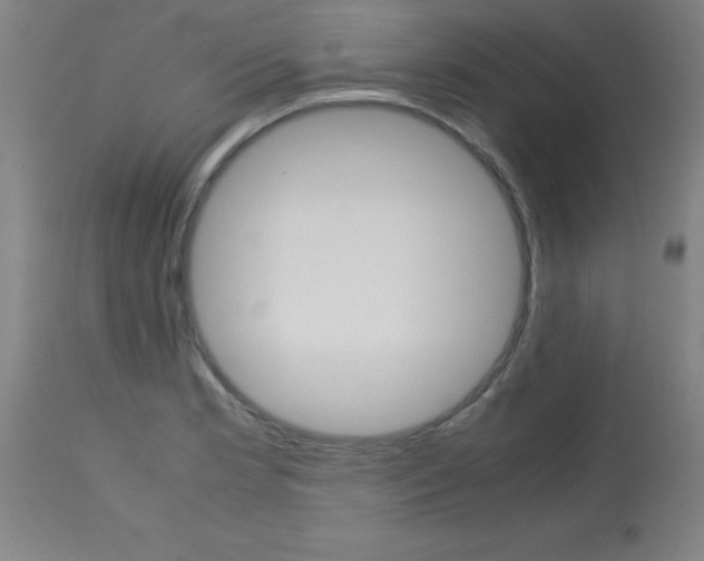 X0000113751181200910211140