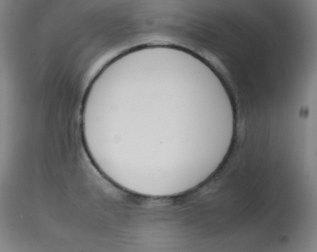 X0000113751183200910211140