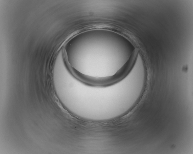 X0000113751185200910211140