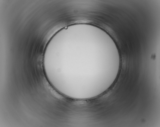 X0000113751186200910211140