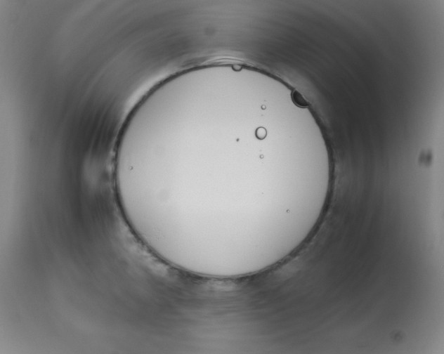 X0000113751190200910211139