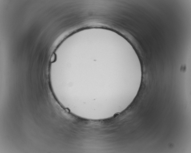 X0000113751191200910211139