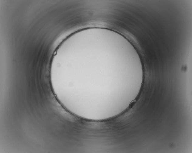 X0000113751192200910211139