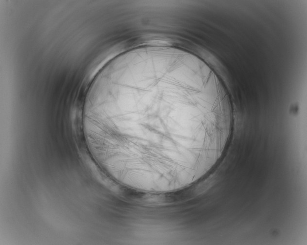X0000113751194200910211139