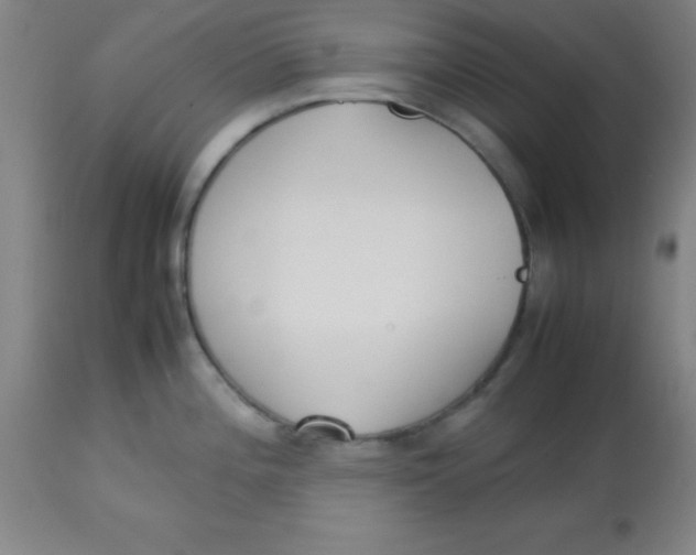 X0000113751196200910211139