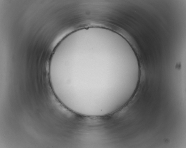 X0000113751198200910211139