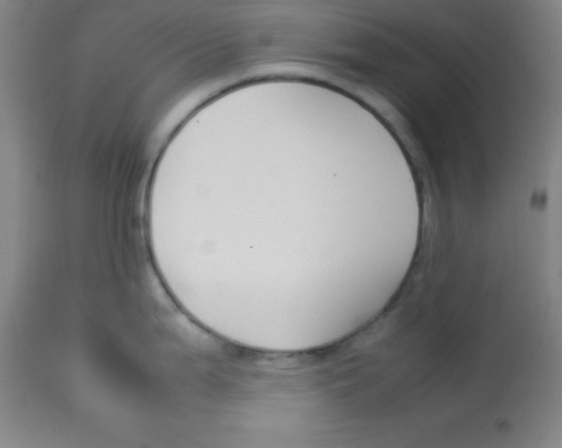 X0000113751199200910211139