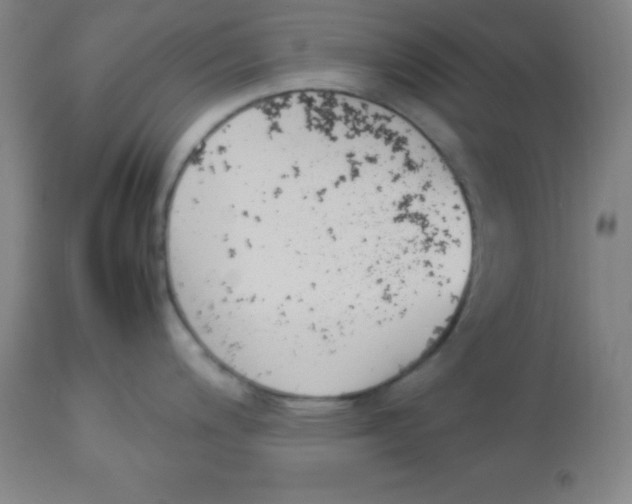 X0000113751200200910211139