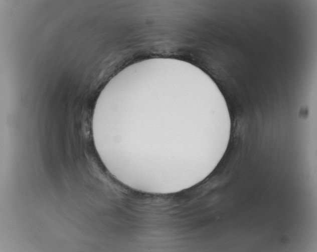 X0000113751202200910211139