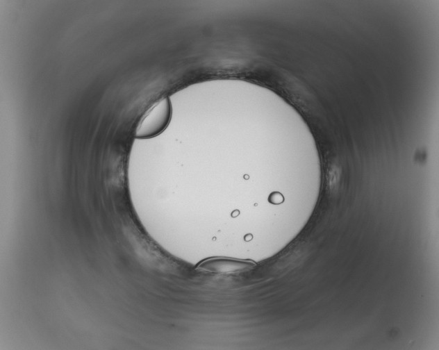 X0000113751204200910211139