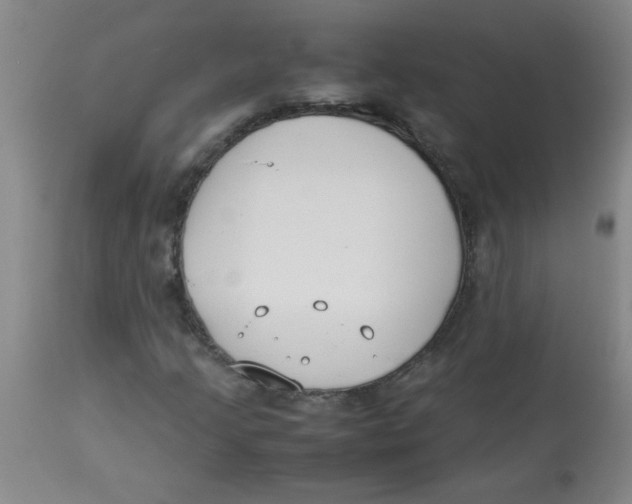 X0000113751205200910211139