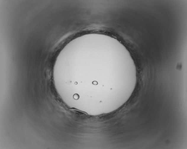 X0000113751206200910211139