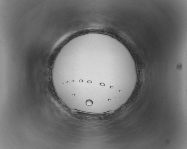 X0000113751208200910211139