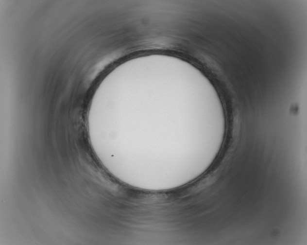 X0000113751210200910211139