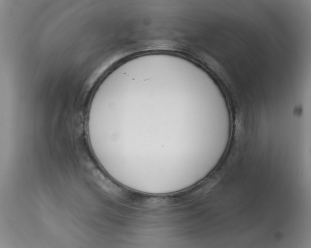 X0000113751212200910211139