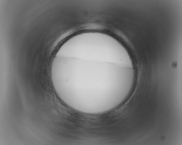 X0000113751213200910211139