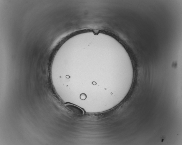 X0000113751214200910211139