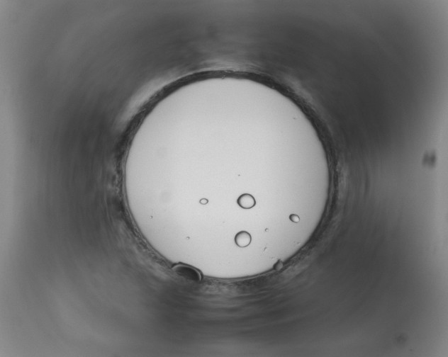 X0000113751215200910211139