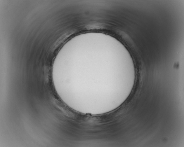 X0000113751217200910211139