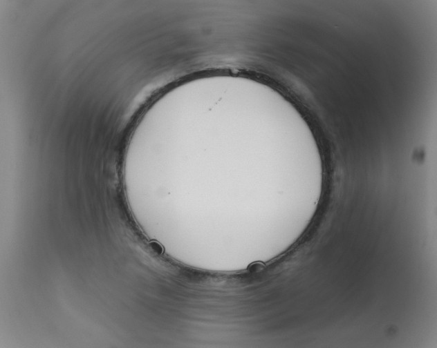 X0000113751218200910211139