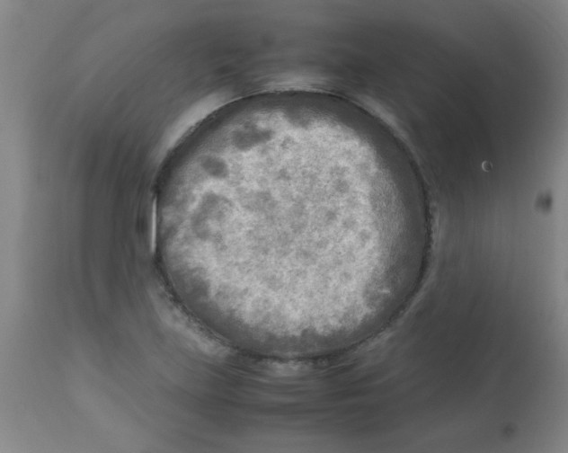 X0000113751219200910211139