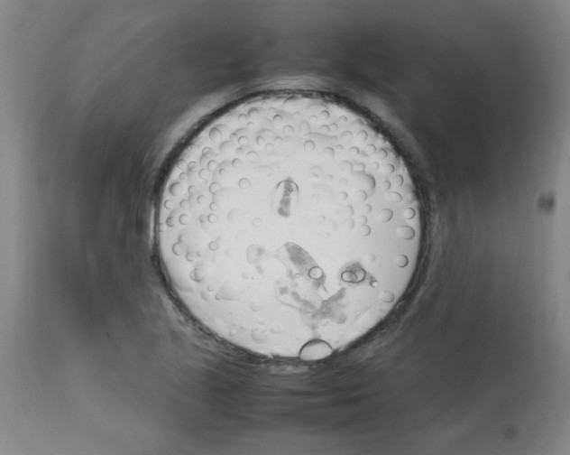 X0000113751221200910211139